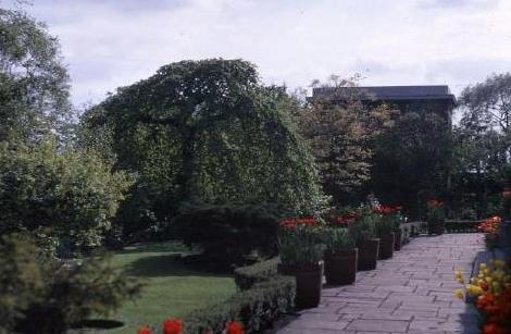 Roof Garden