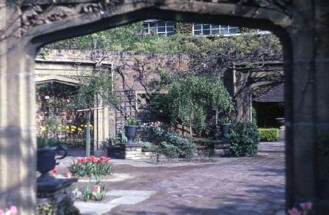 Roof Garden