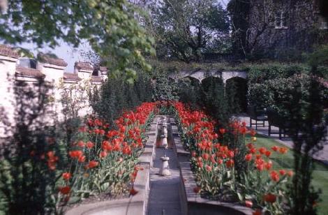 Roof Garden