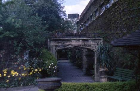 Roof Garden